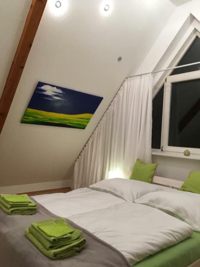 Ferienimspessart Og Apartment Bad Soden-Salmuenster Luaran gambar