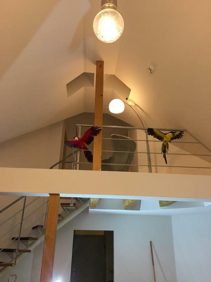 Ferienimspessart Og Apartment Bad Soden-Salmuenster Luaran gambar