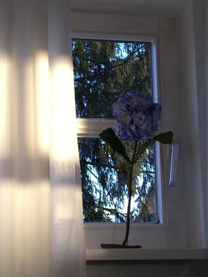 Ferienimspessart Og Apartment Bad Soden-Salmuenster Luaran gambar